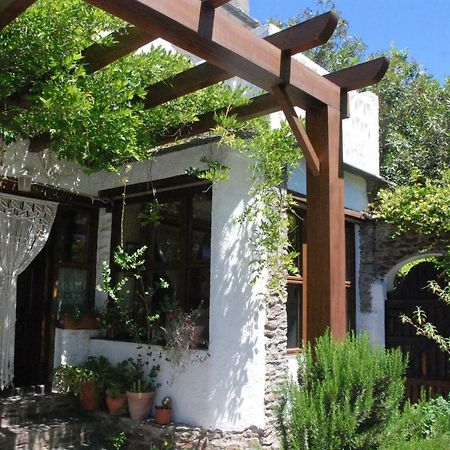 Casa Africa Guest House Mecina Fondales Exterior photo
